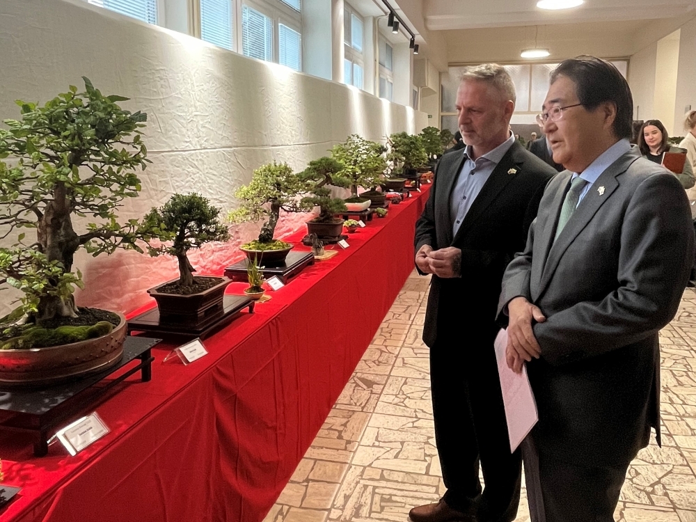 Veľvyslanec Kawakami navštívil výstavu CASSOVIA BONSAI 2025